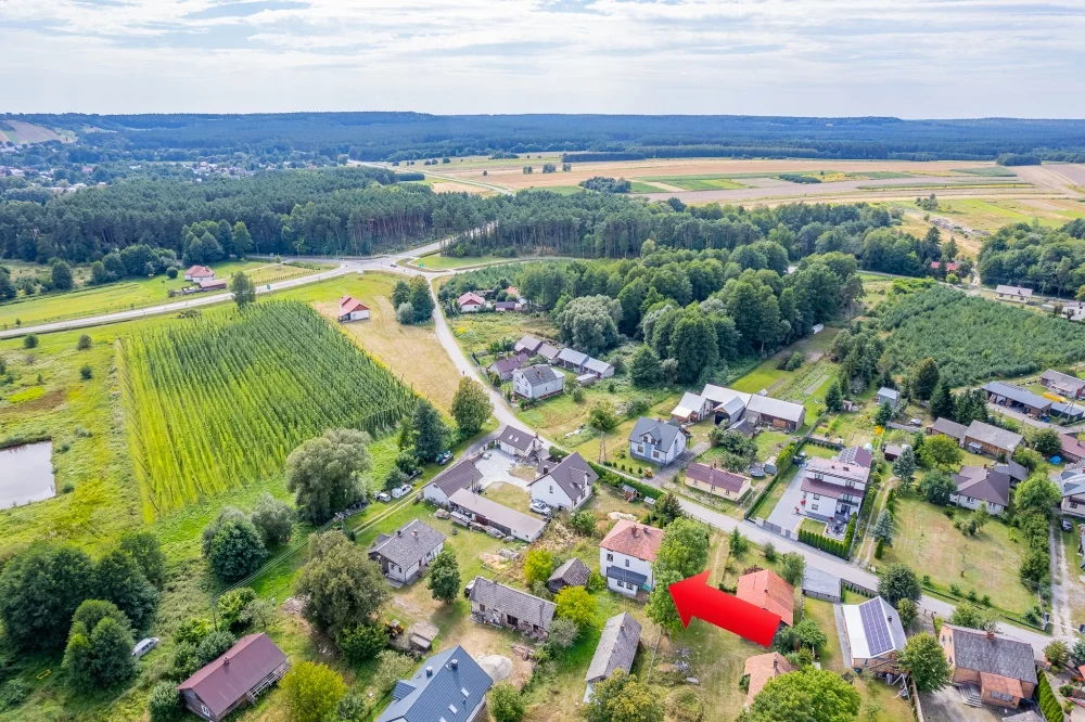 36970 - zdjęcie nr 3