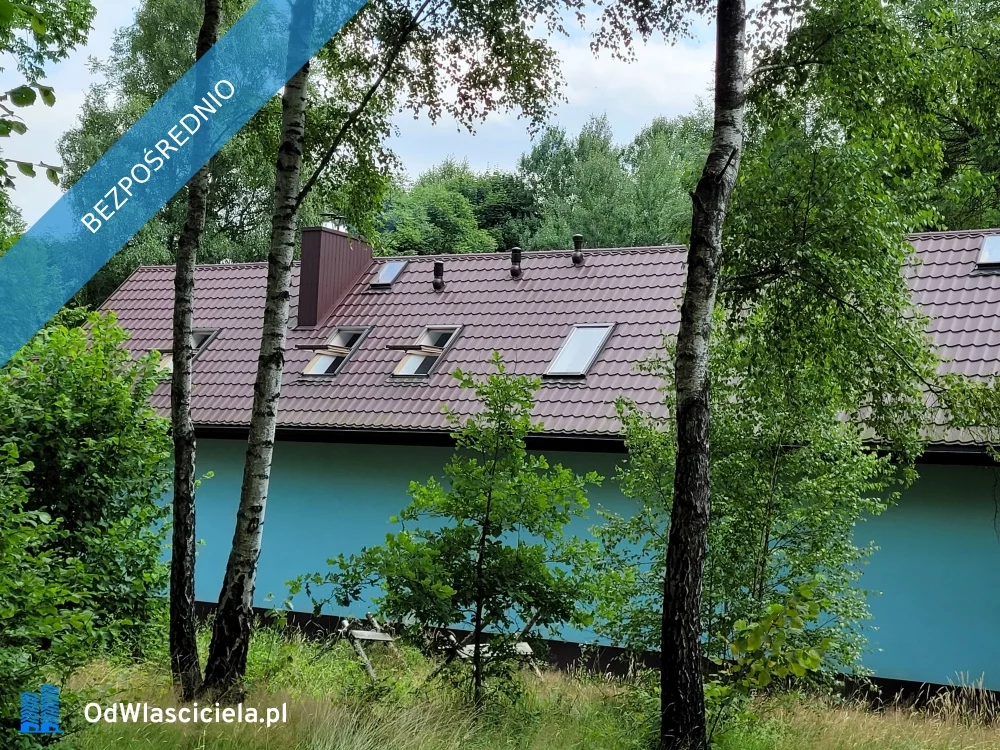 36371 - zdjęcie nr 0