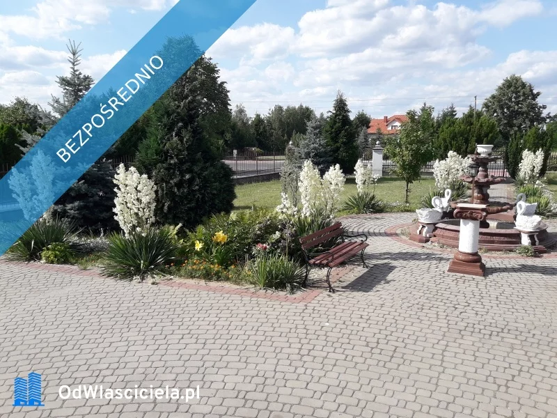 33852 - zdjęcie nr 3