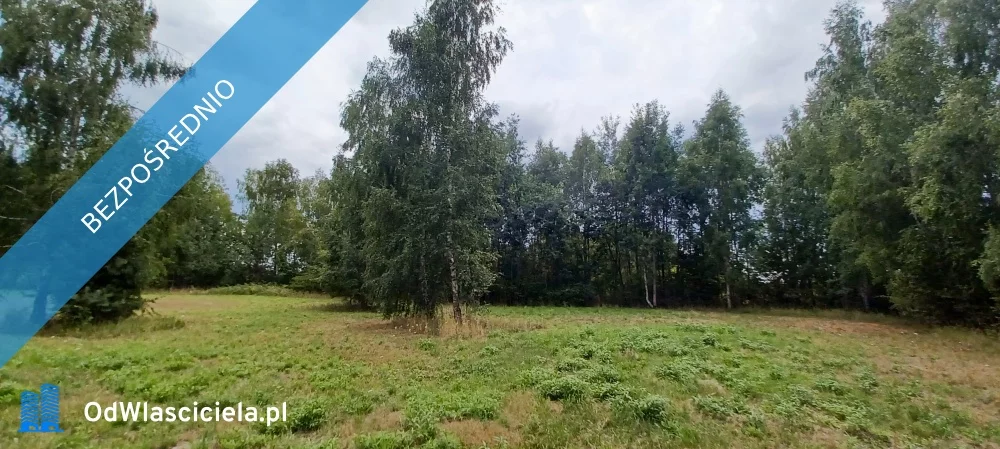 Dom 369,00 m², oferta nr , 29204, Tarczyn