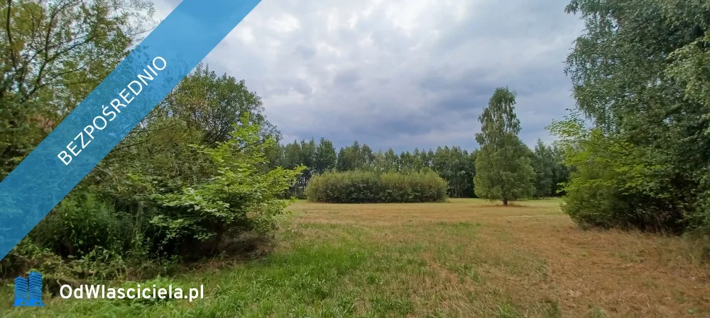Dom 369,00 m², oferta nr , 29204, Tarczyn