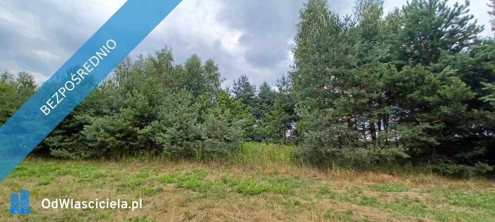 Dom 369,00 m², oferta nr , 29204, Tarczyn