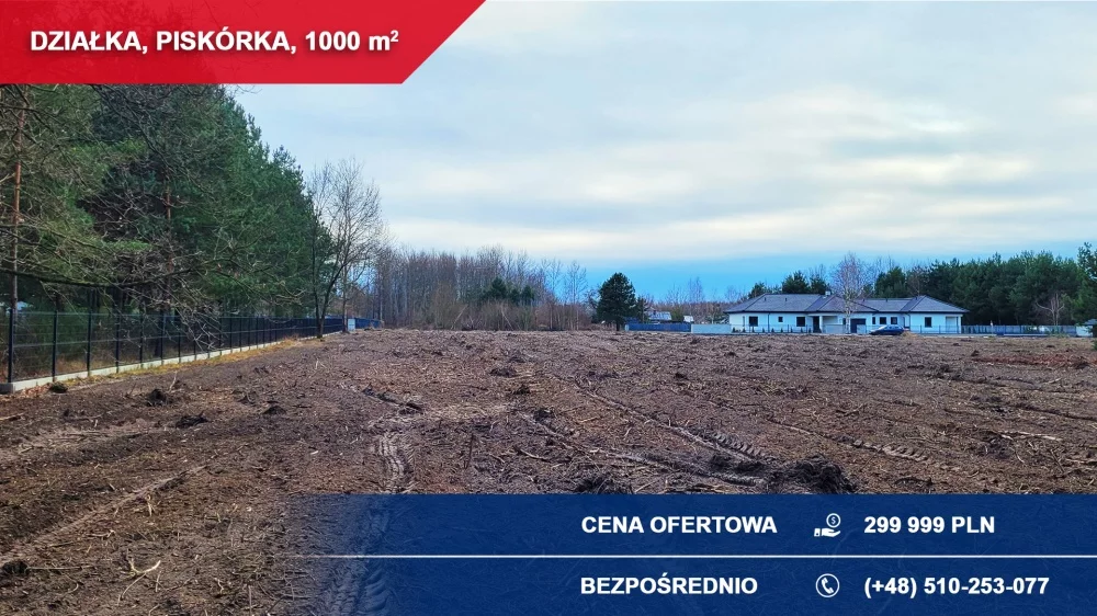 35982 - zdjęcie nr 3