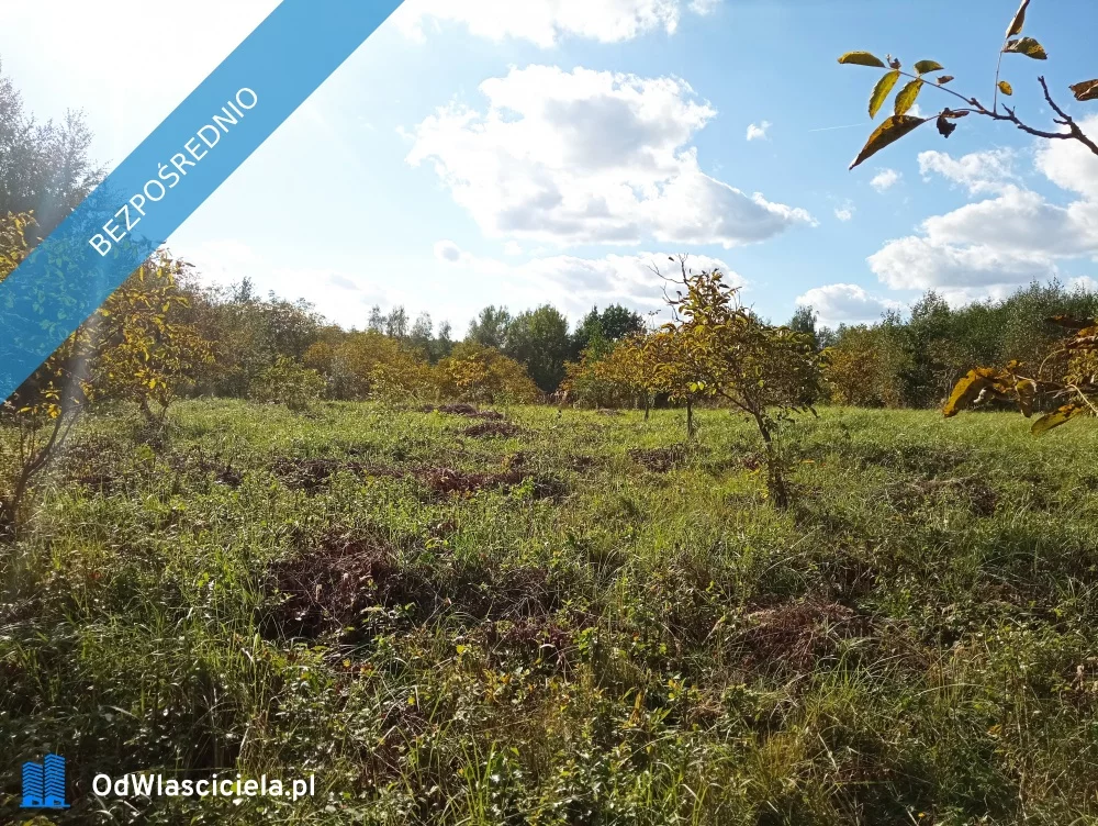 Działka 7 700,00 m², oferta nr , 37515, Albigowa