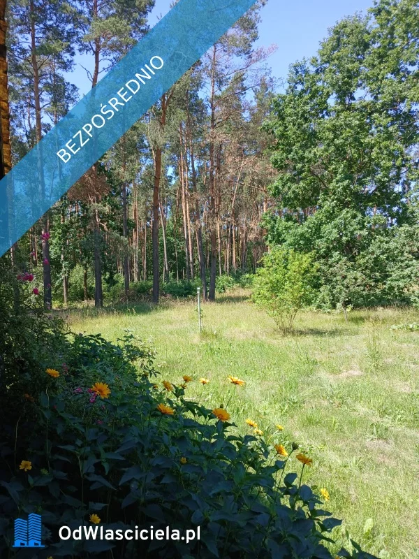 Apartamenty 36019 Węgrów Bagno