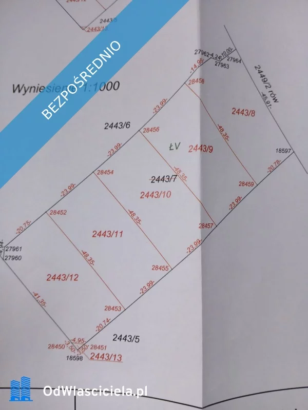 36019 - zdjęcie nr 1
