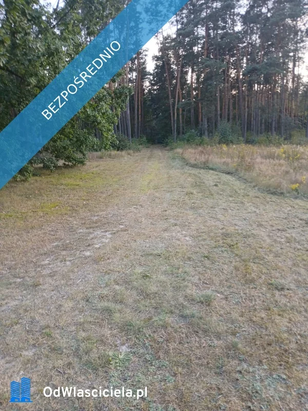 36019 - zdjęcie nr 3