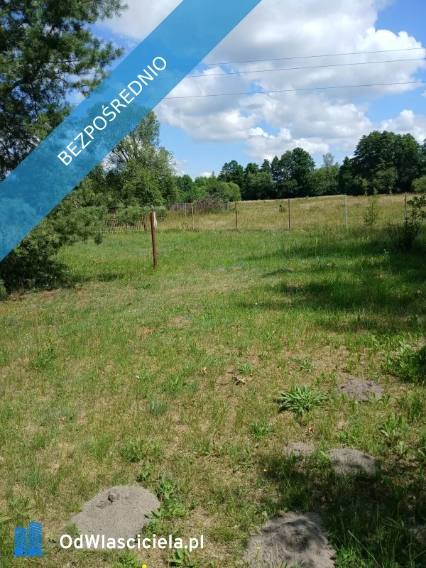 36019 - zdjęcie nr 4