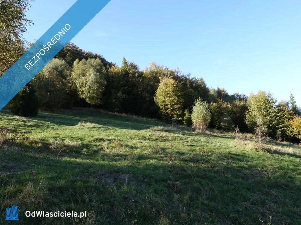 Działka 25 300,00 m², oferta nr , 36670, Brenna
