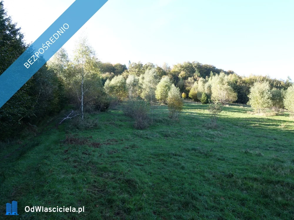 Działka 25 300,00 m², oferta nr , 36670, Brenna