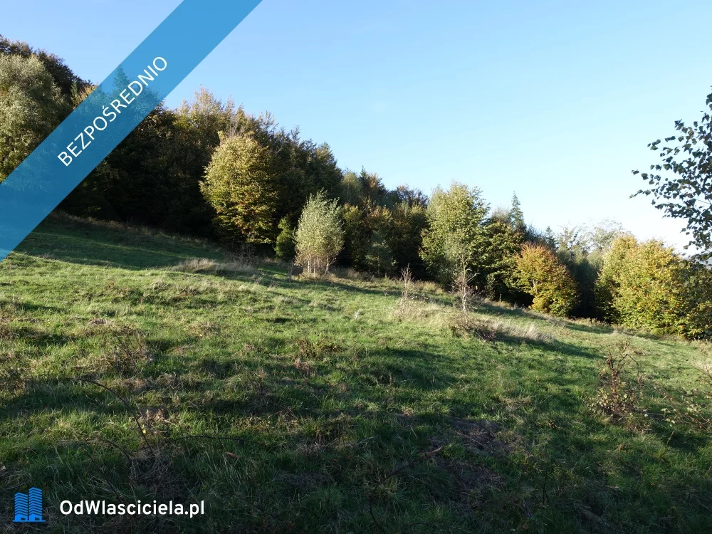 Działka 25 300,00 m², oferta nr , 37945, Brenna