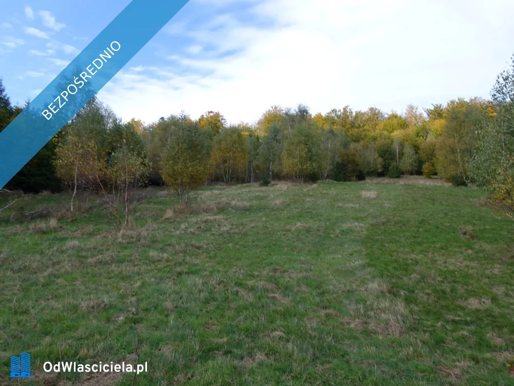 Działka 25 300,00 m², oferta nr , 37945, Brenna