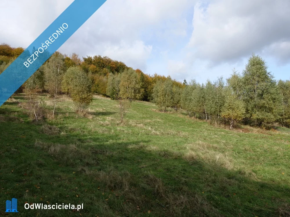 Działka 25 300,00 m², oferta nr , 37945, Brenna