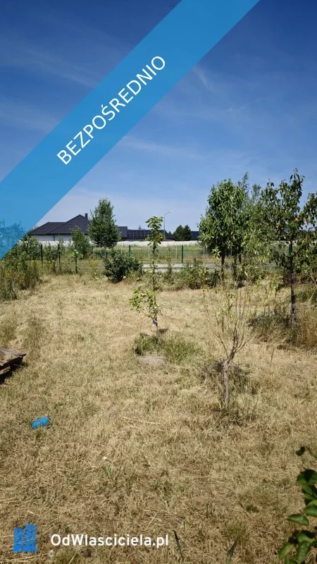 35523 - zdjęcie nr 3