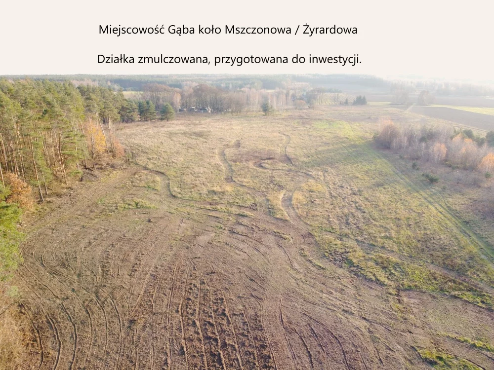 36164 - zdjęcie nr 3