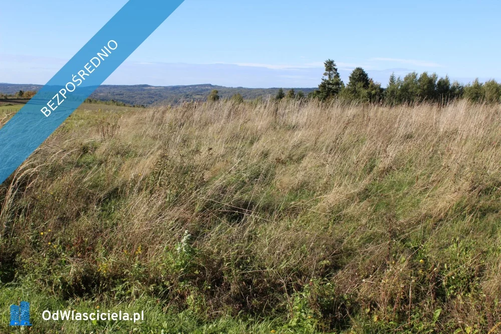 Działka 1 800,00 m², oferta nr , 34044, Domaradz, Golcowa