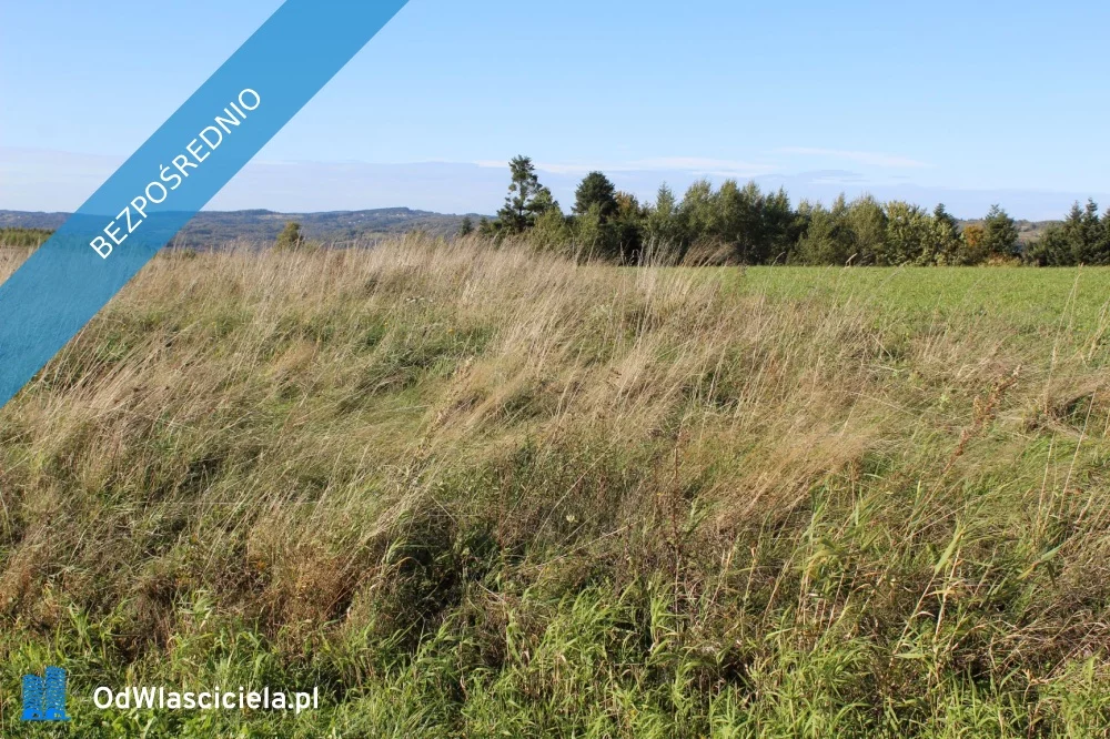 Działka 1 800,00 m², oferta nr , 34044, Domaradz, Golcowa