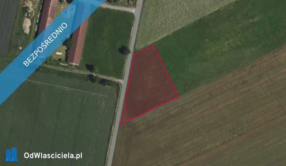36011 - zdjęcie nr 0