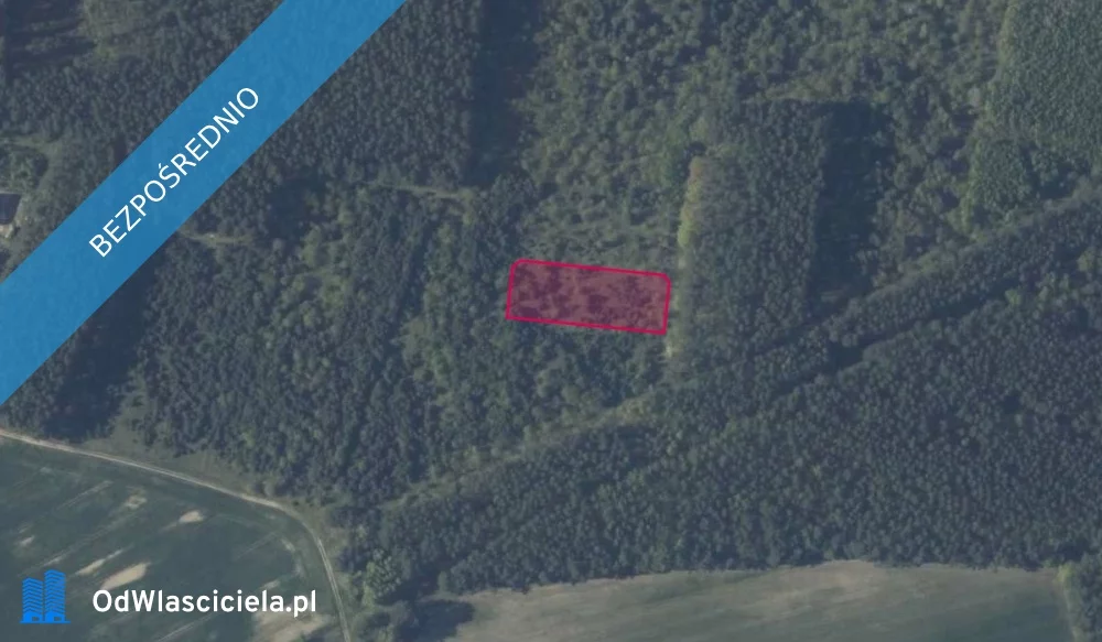 Działka 3 003,00 m², oferta nr , 37717, Kobylanka