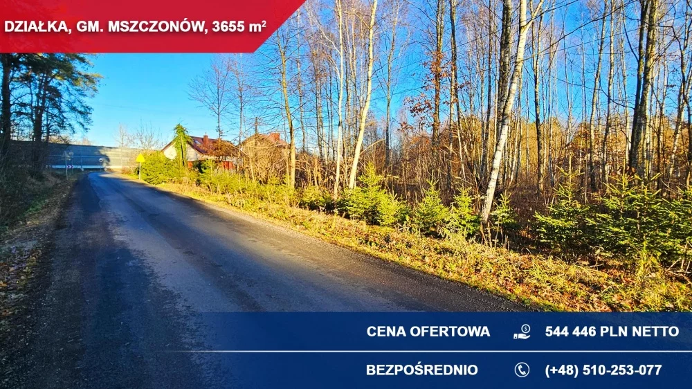 36056 - zdjęcie nr 2