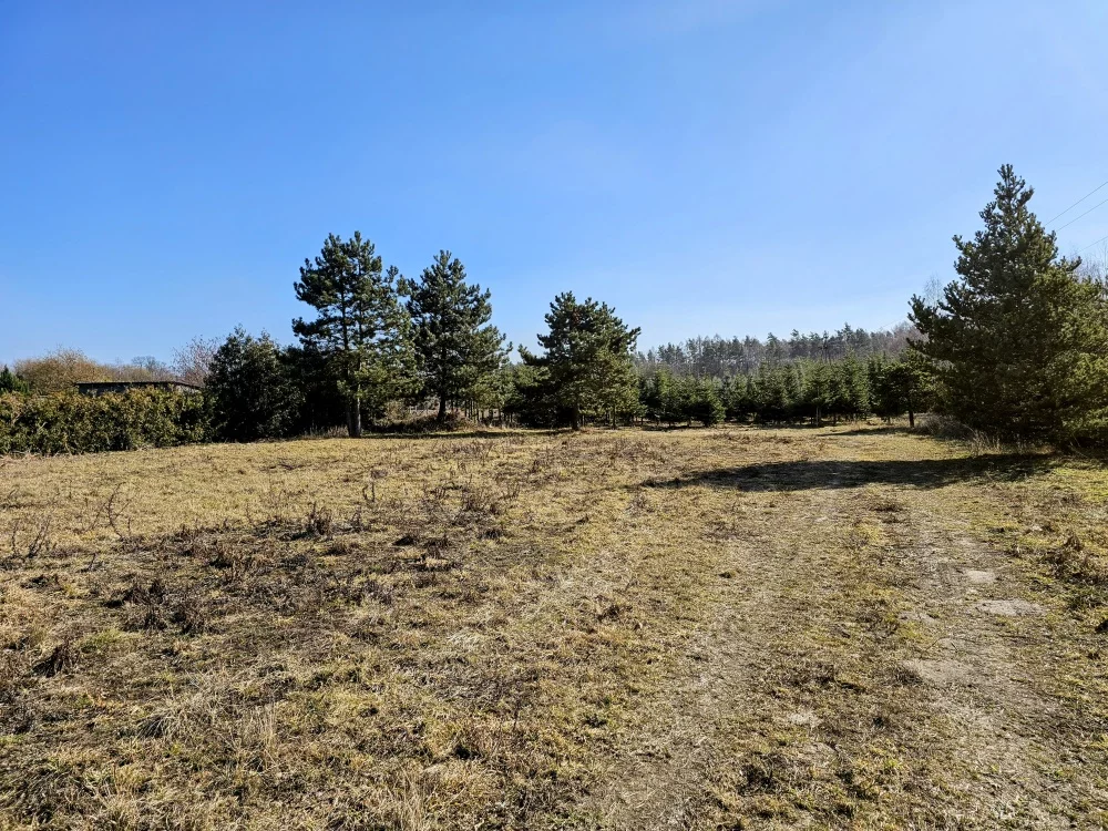 36937 - zdjęcie nr 3