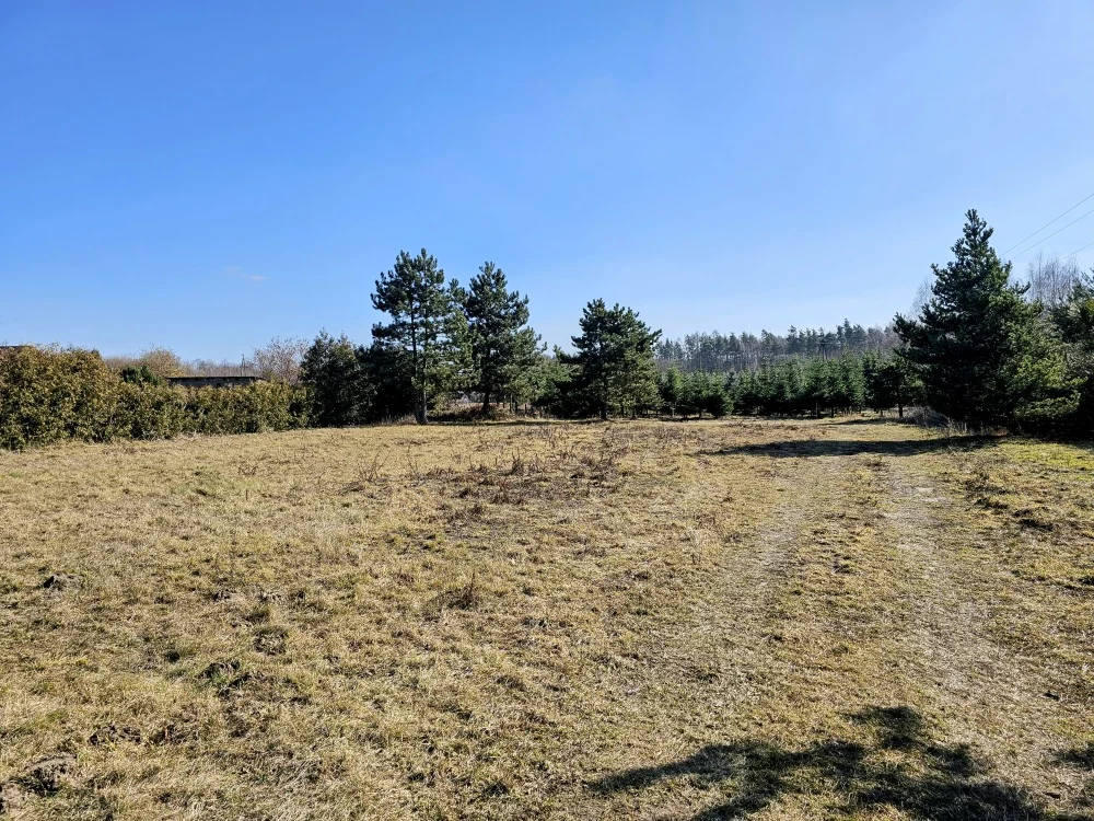 36937 - zdjęcie nr 4