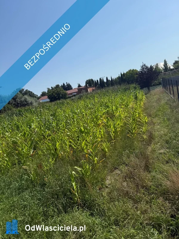 Działka 1 700,00 m², oferta nr , 37638, Sulęcinek, Leśna
