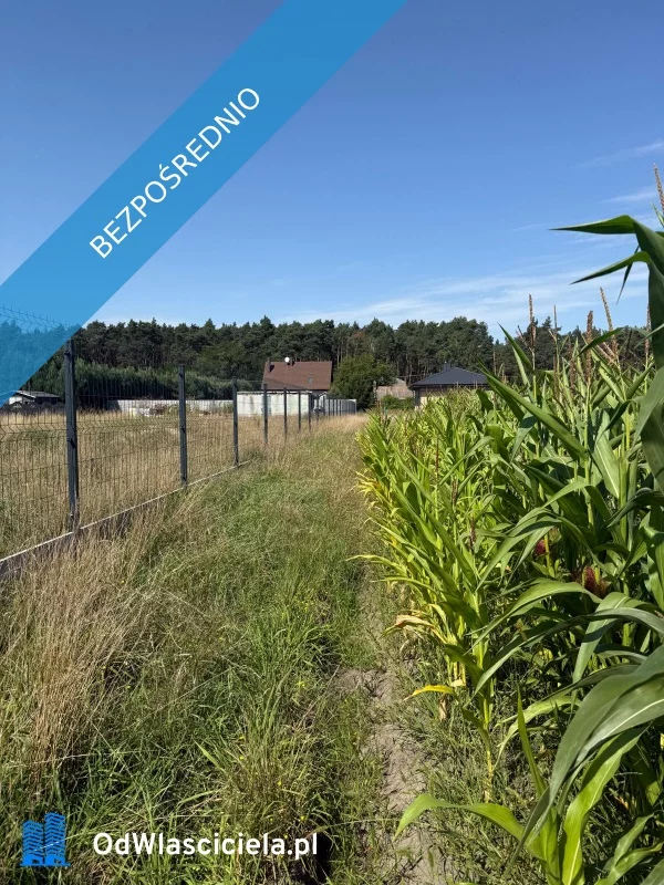 Działka 1 700,00 m², oferta nr , 37638, Sulęcinek, Leśna