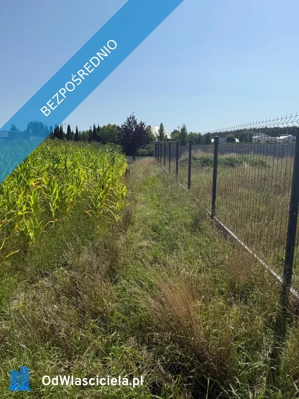 Działka 1 700,00 m², oferta nr , 37638, Sulęcinek, Leśna
