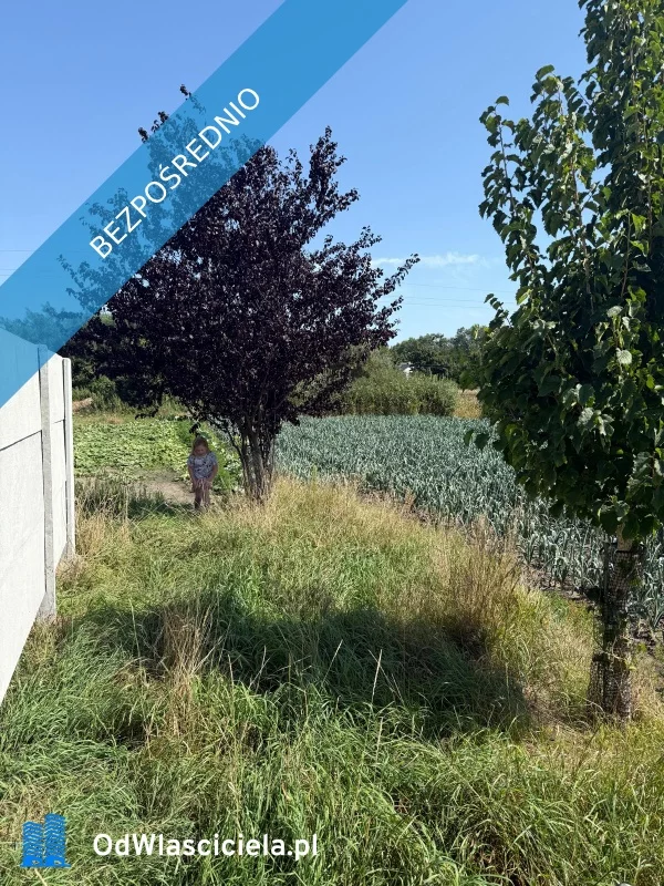 Działka 1 700,00 m², oferta nr , 37638, Sulęcinek, Leśna