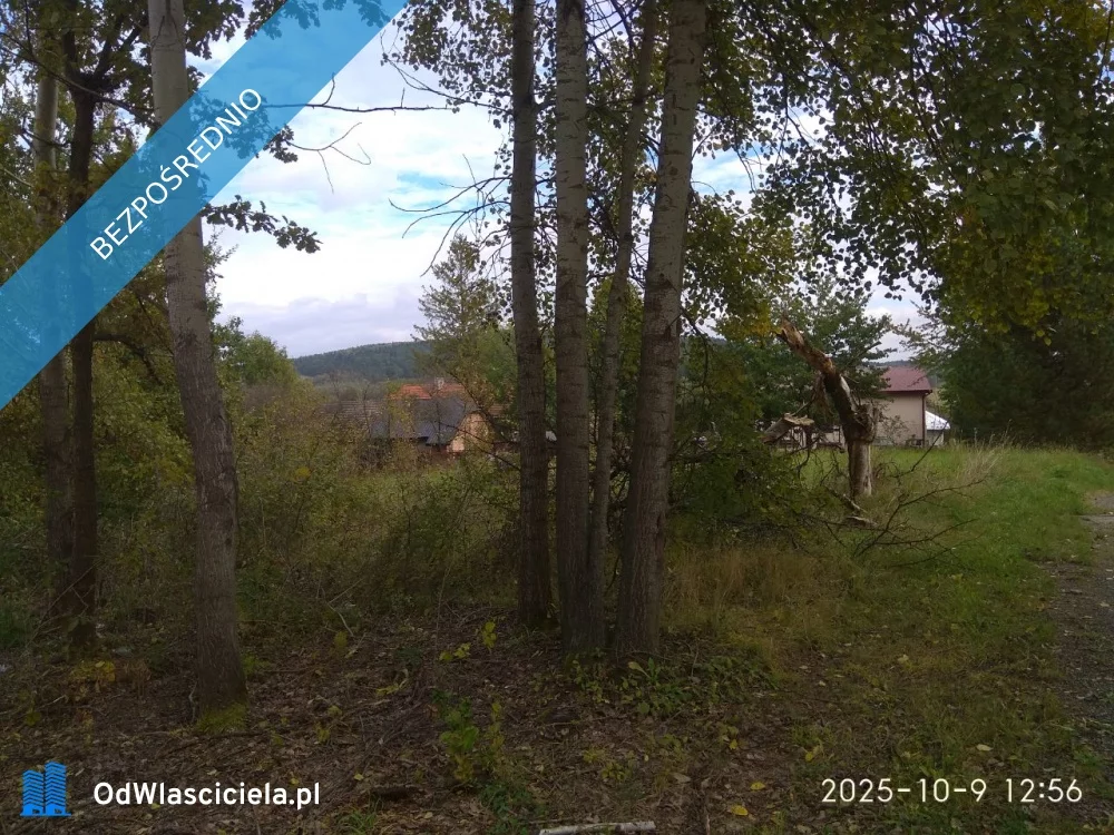 Działka 3 114,00 m², oferta nr , 38084, Lipinki, Lipinki