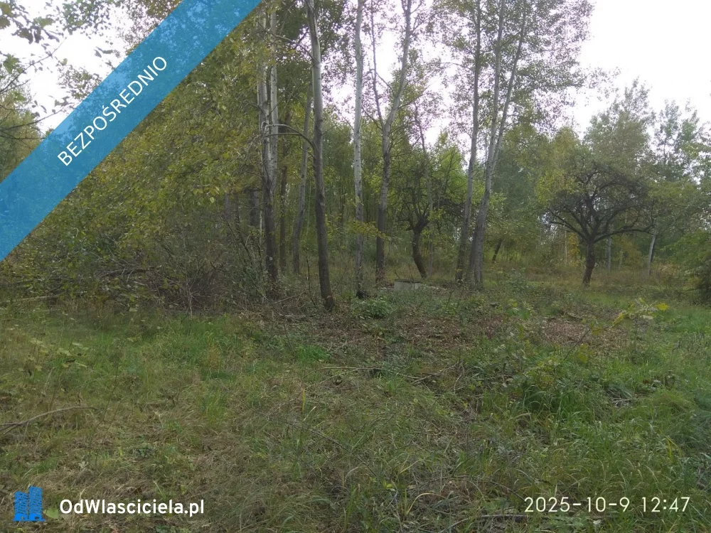 Działka 3 114,00 m², oferta nr , 38084, Lipinki, Lipinki