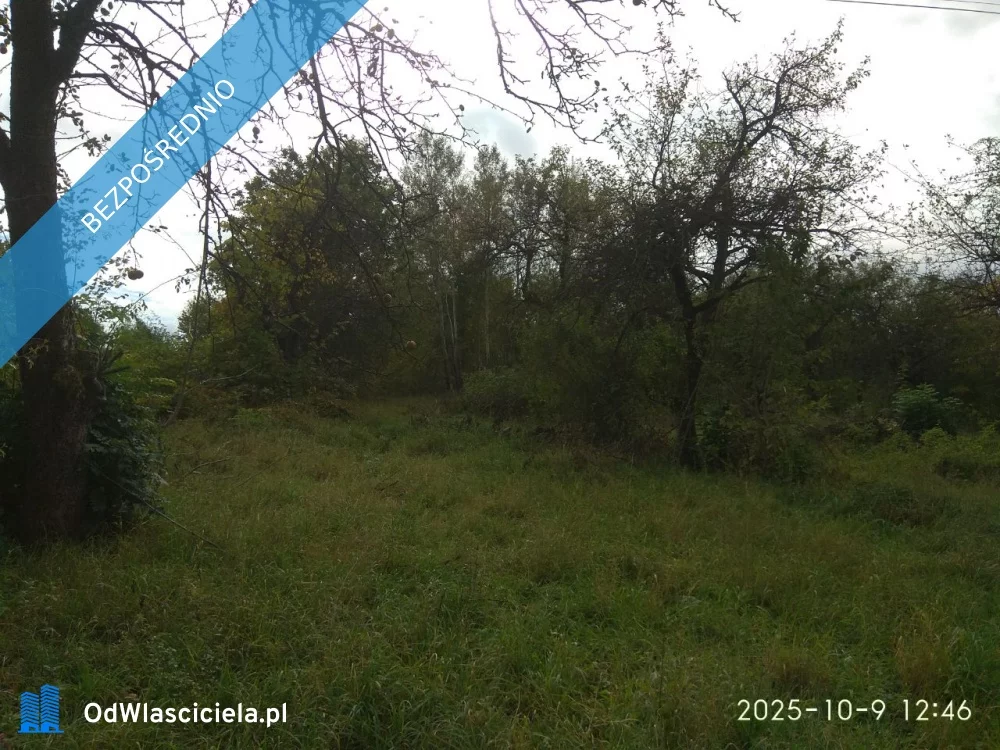 Działka 3 114,00 m², oferta nr , 38084, Lipinki, Lipinki