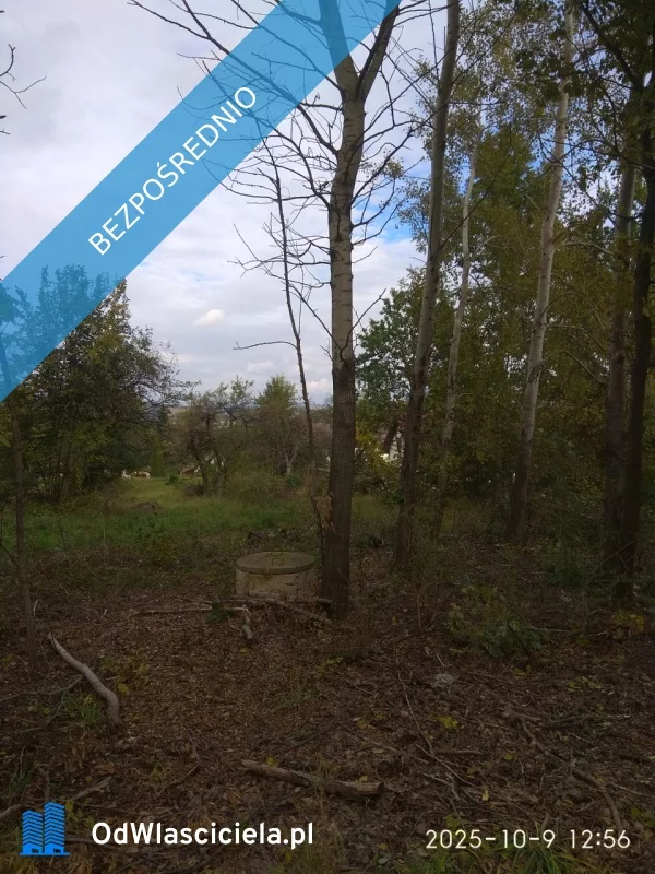 Działka 3 114,00 m², oferta nr , 38084, Lipinki, Lipinki