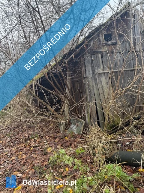 36328 - zdjęcie nr 3