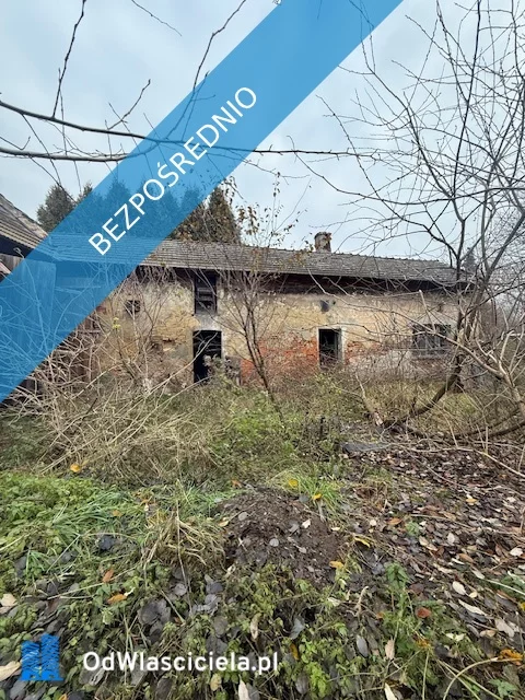 36328 - zdjęcie nr 4