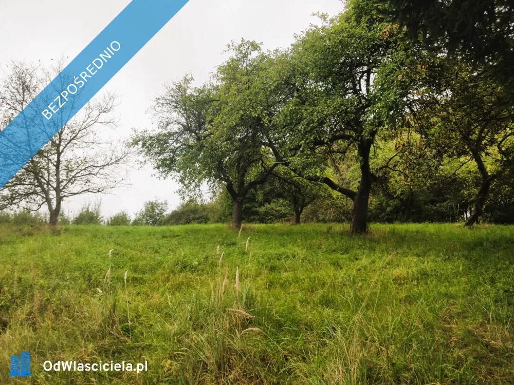 Działka 1 851,00 m², oferta nr , 37804, Boguchwała, Lubomirskiego