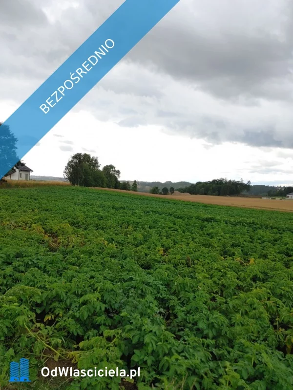Działka 856,00 m², oferta nr , 37276, Małkowo, Malinowa