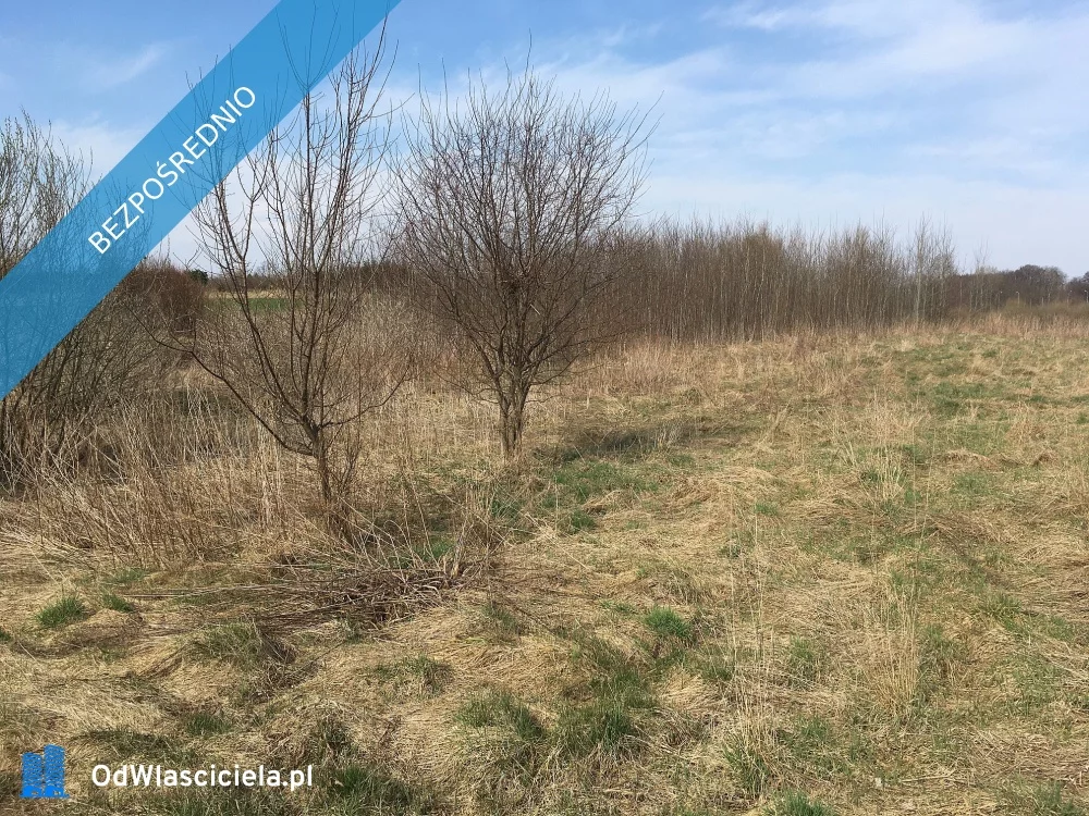 Działka 1 596,00 m², oferta nr , 34154, Morąg, Modrzewiowa
