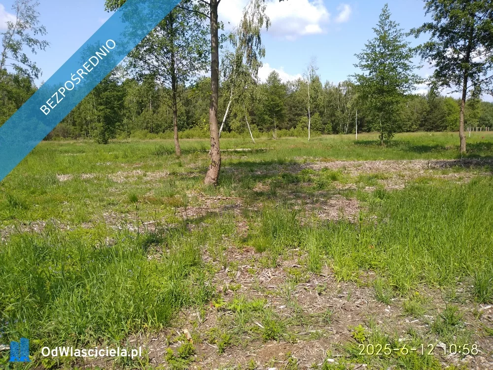 33401 - zdjęcie nr 1