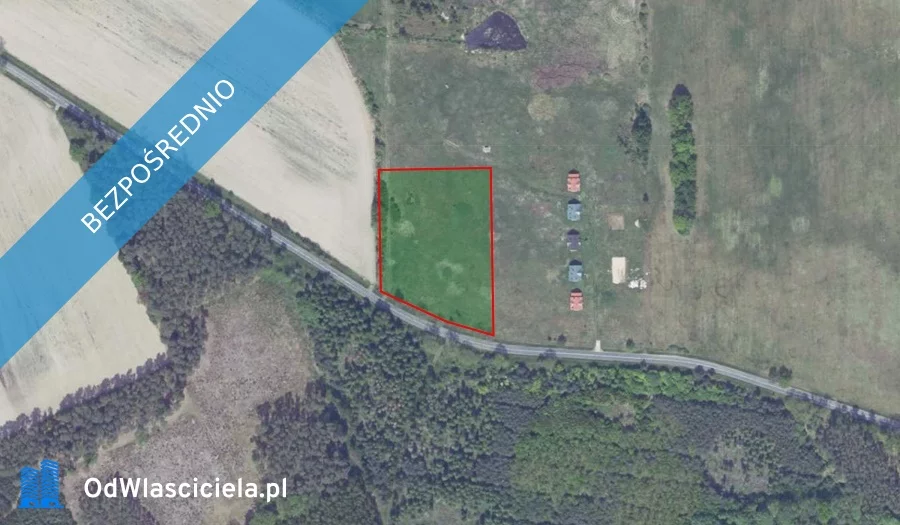 Działka 10 091,00 m², Niwiska, Sprzedaż