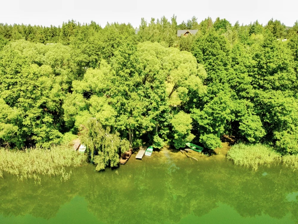 Działka 1 950,00 m², oferta nr , 34947, Osetno