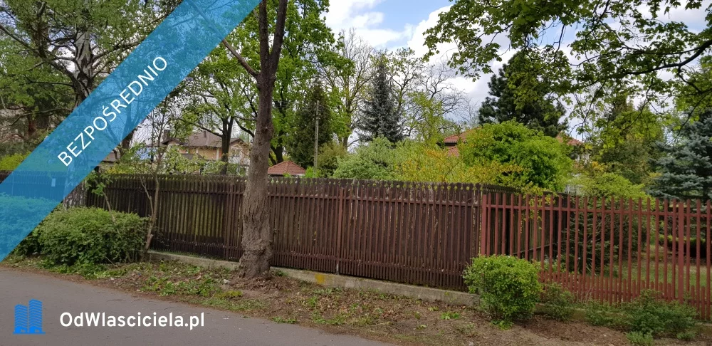 36459 - zdjęcie nr 3
