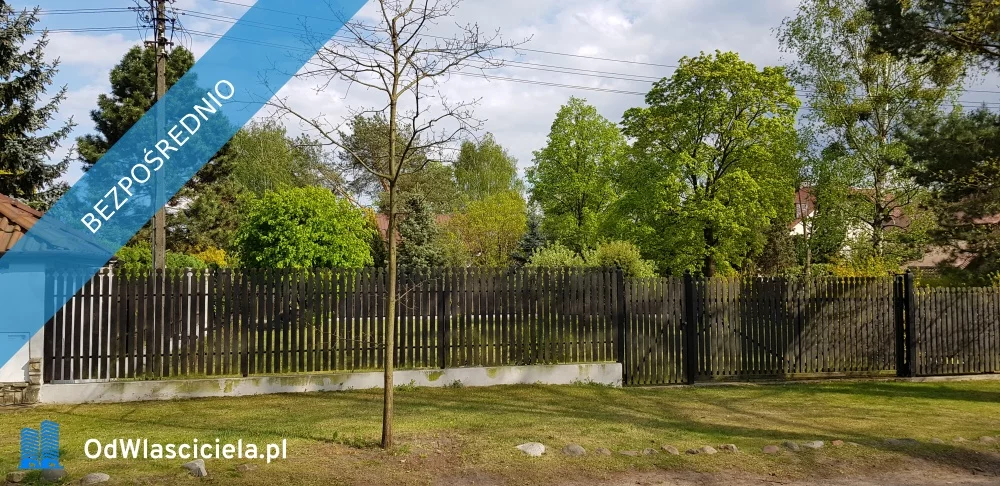 36459 - zdjęcie nr 4
