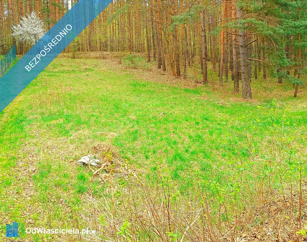 Apartamenty 16577 Pluski Pluszna