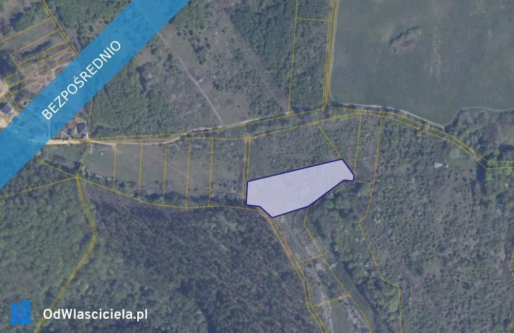 Działka 7 353,00 m², oferta nr , 37366, Pręgowo