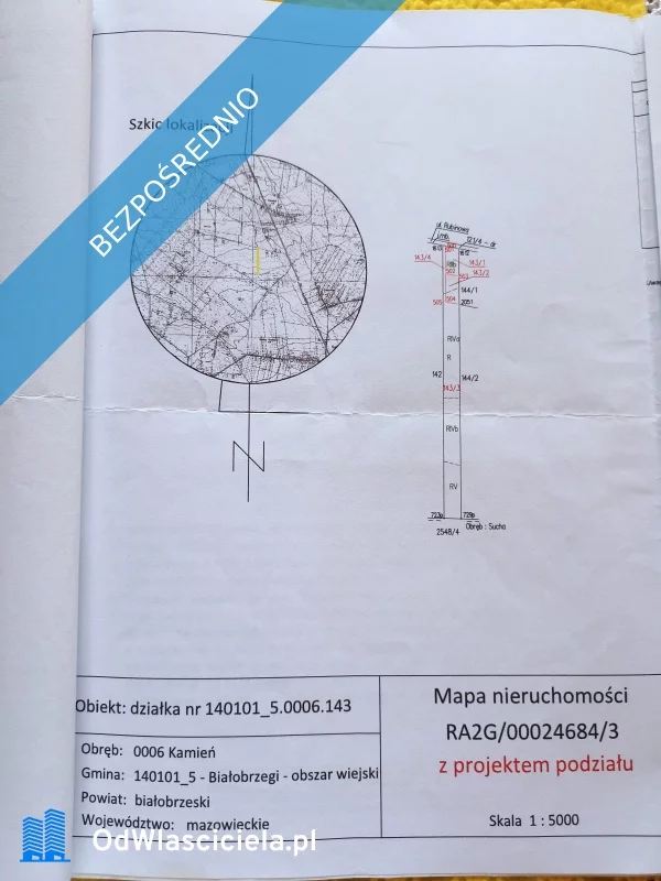 33541 - zdjęcie nr 4