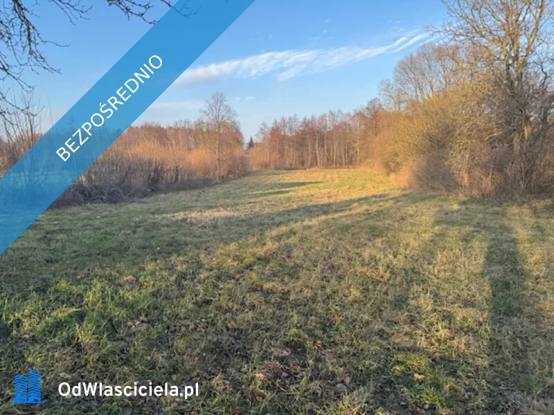 Apartamenty 35564 Rydzyn Włościański