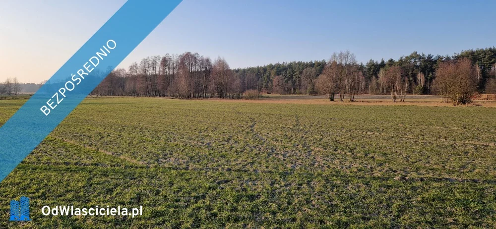 Działka 1 493,00 m², oferta nr , 32752, Rząśnik