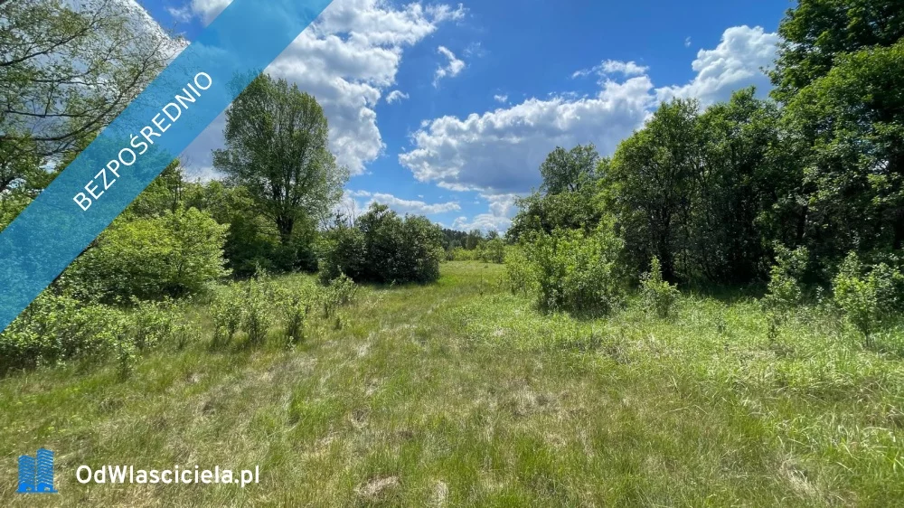 Apartamenty 36531 Siedlisko